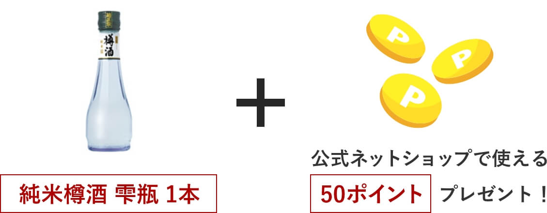 レビュー投稿