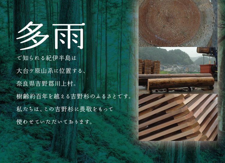 多雨で知られる紀伊半島は樹齢約百年を越える吉野杉のふるさとです