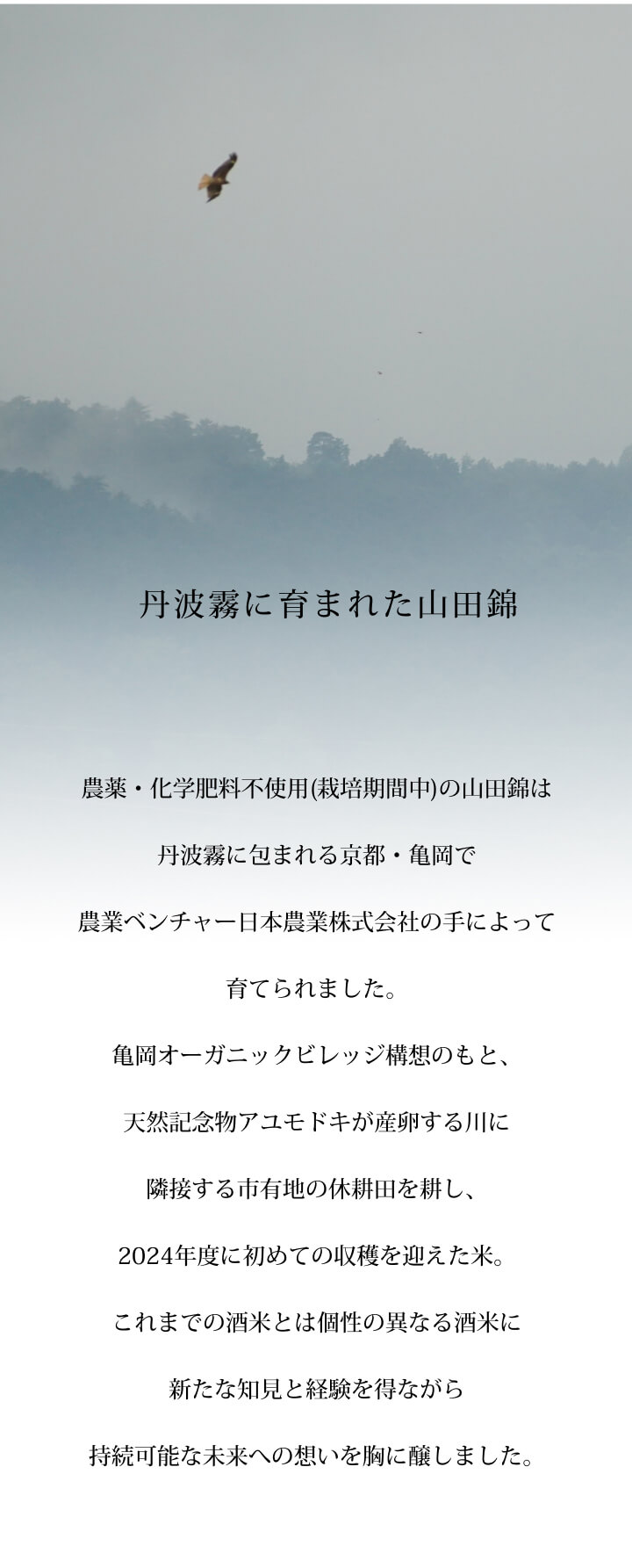 土と田と Begining2024　丹波霧に育まれた山田錦
